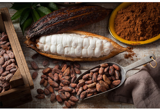 Cacao chất lượng