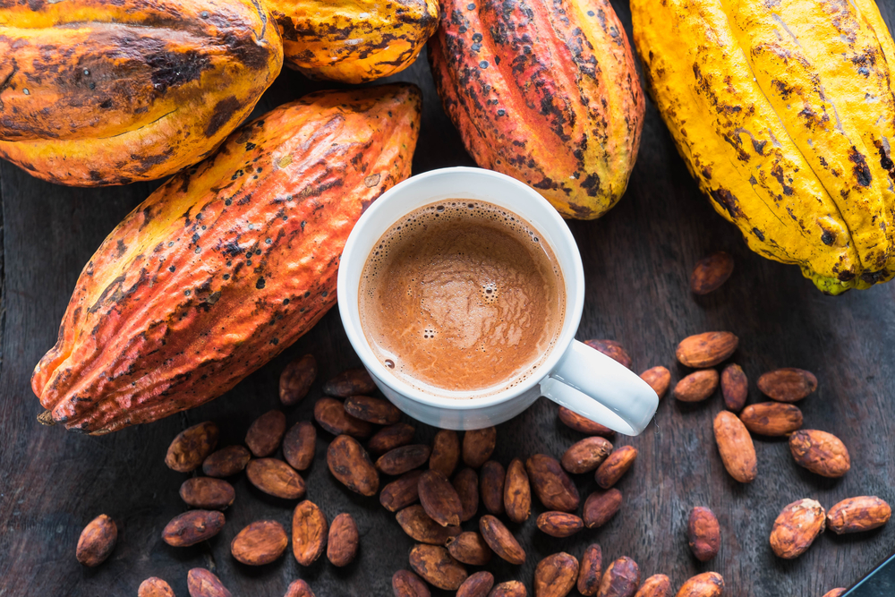 lezzetli ve besleyici kakao